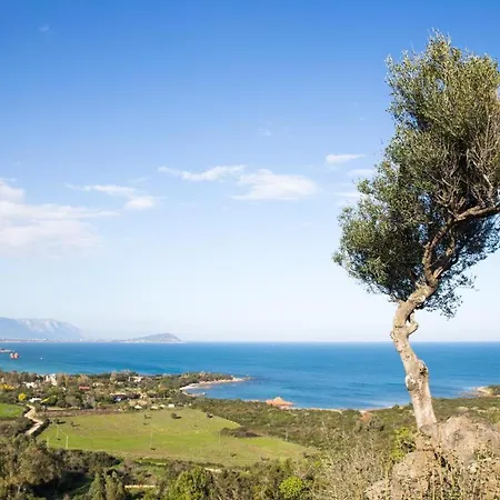 Sea Breeze - Joy Collection