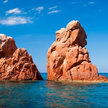 Sea Breeze - Joy Collection *