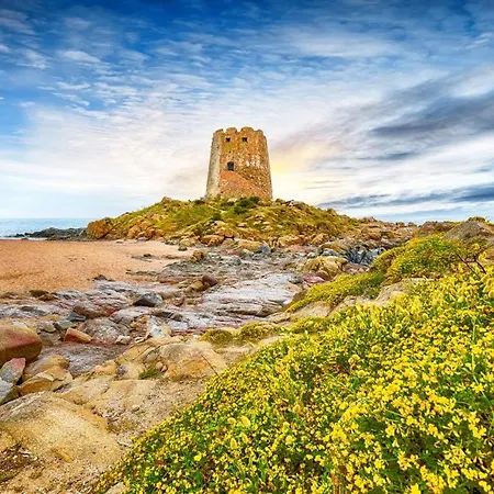 Sea Breeze - Joy Collection