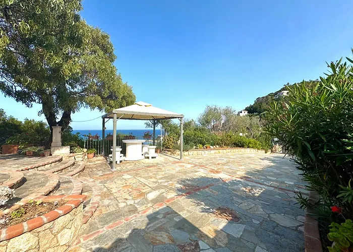 Sea Breeze - Joy Collection