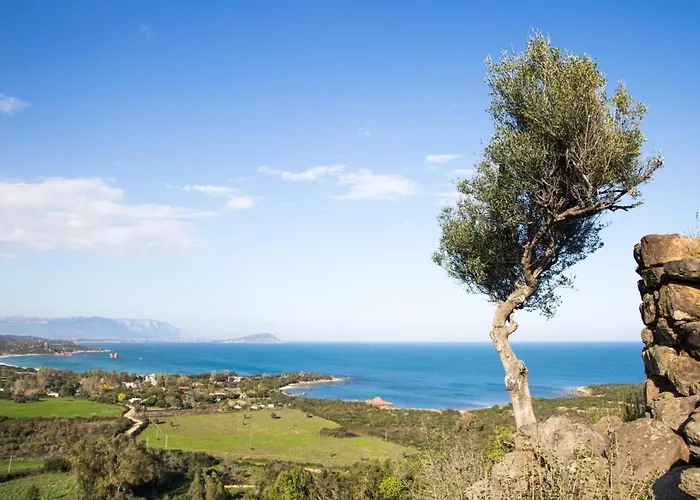 Sea Breeze - Joy Collection