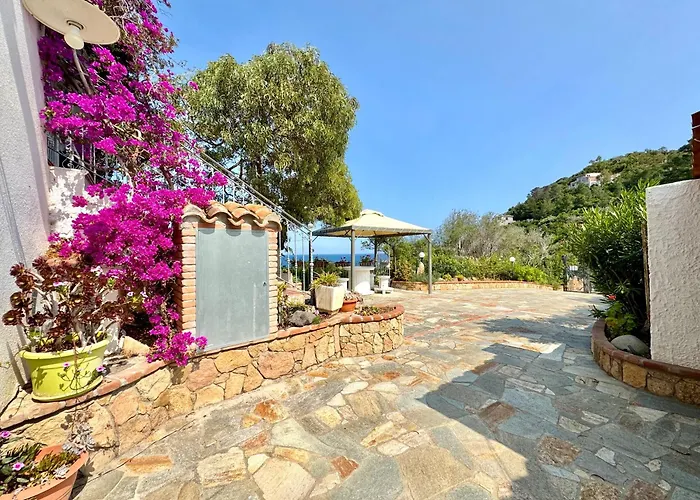 Sea Breeze - Joy Collection